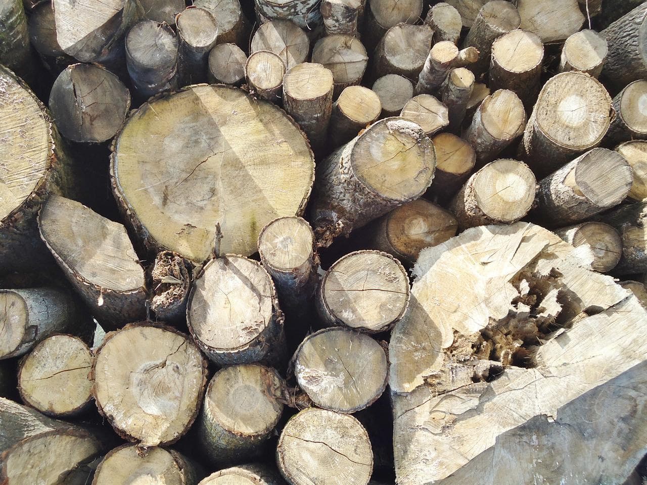 Altman Forestal en Vilanova de Arousa