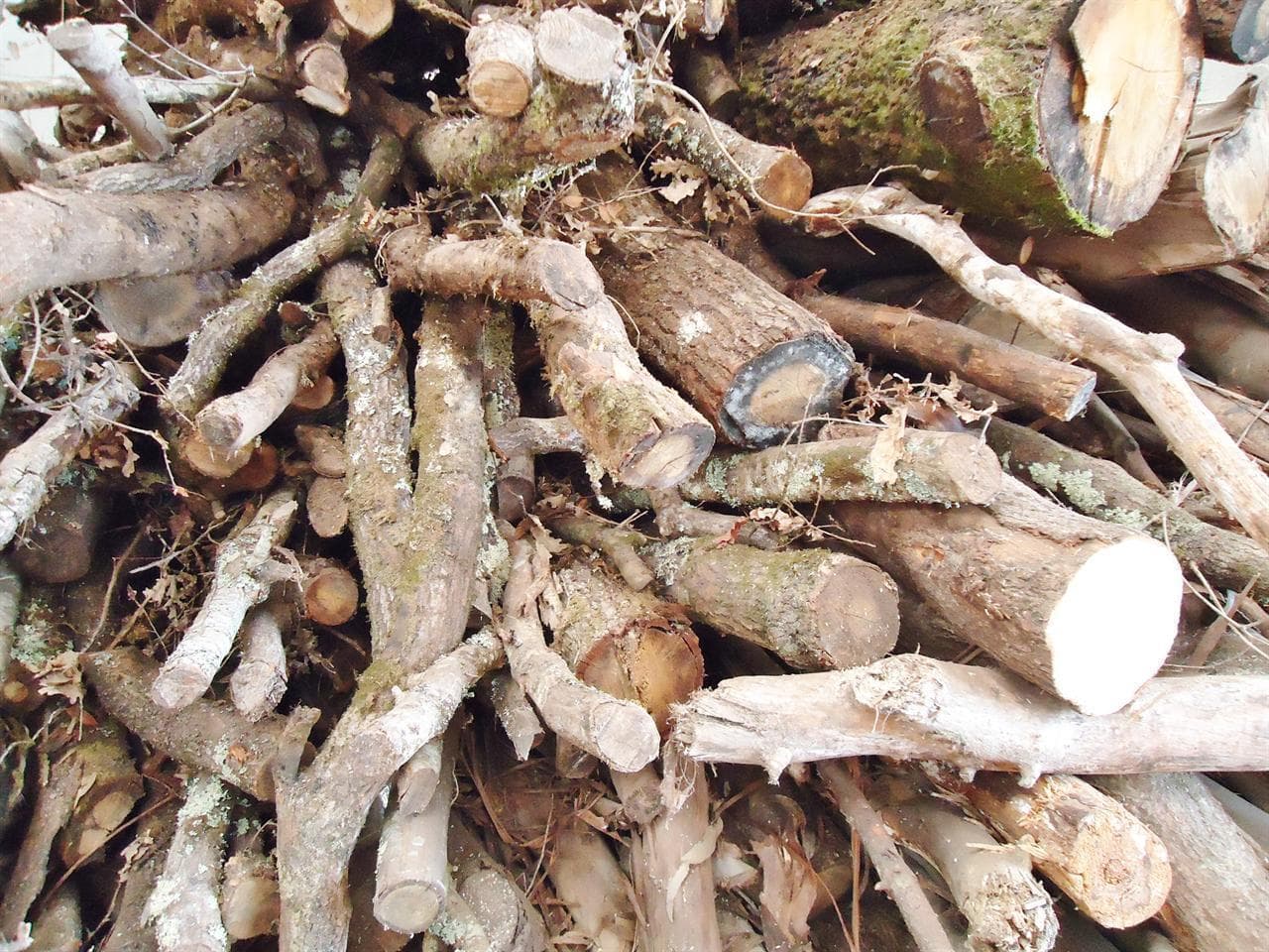 Altman Forestal en Vilanova de Arousa